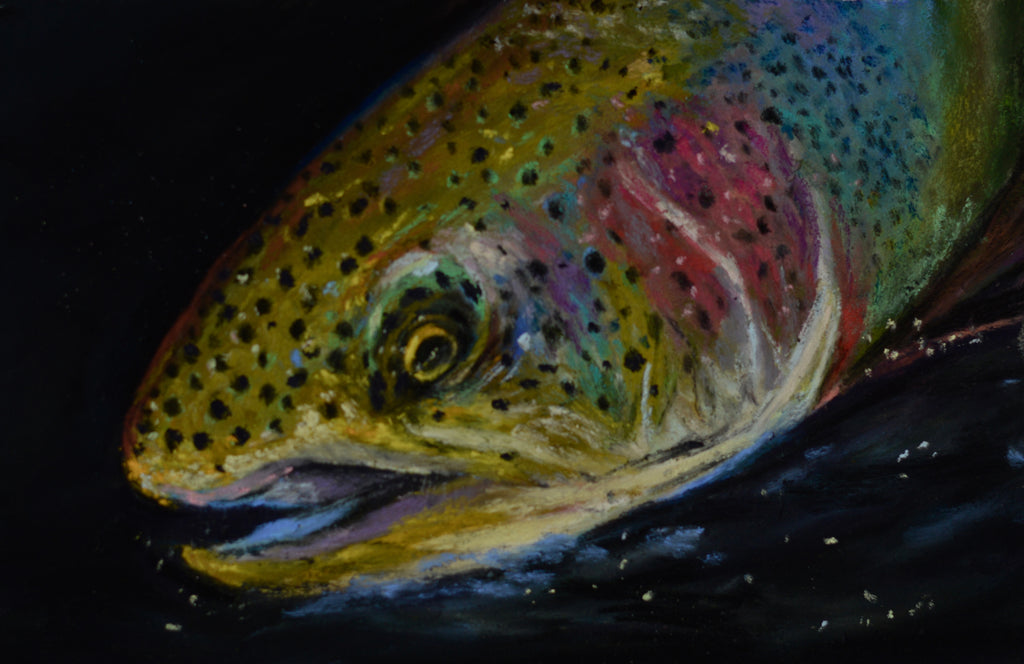 RAINBOW TROUT #1