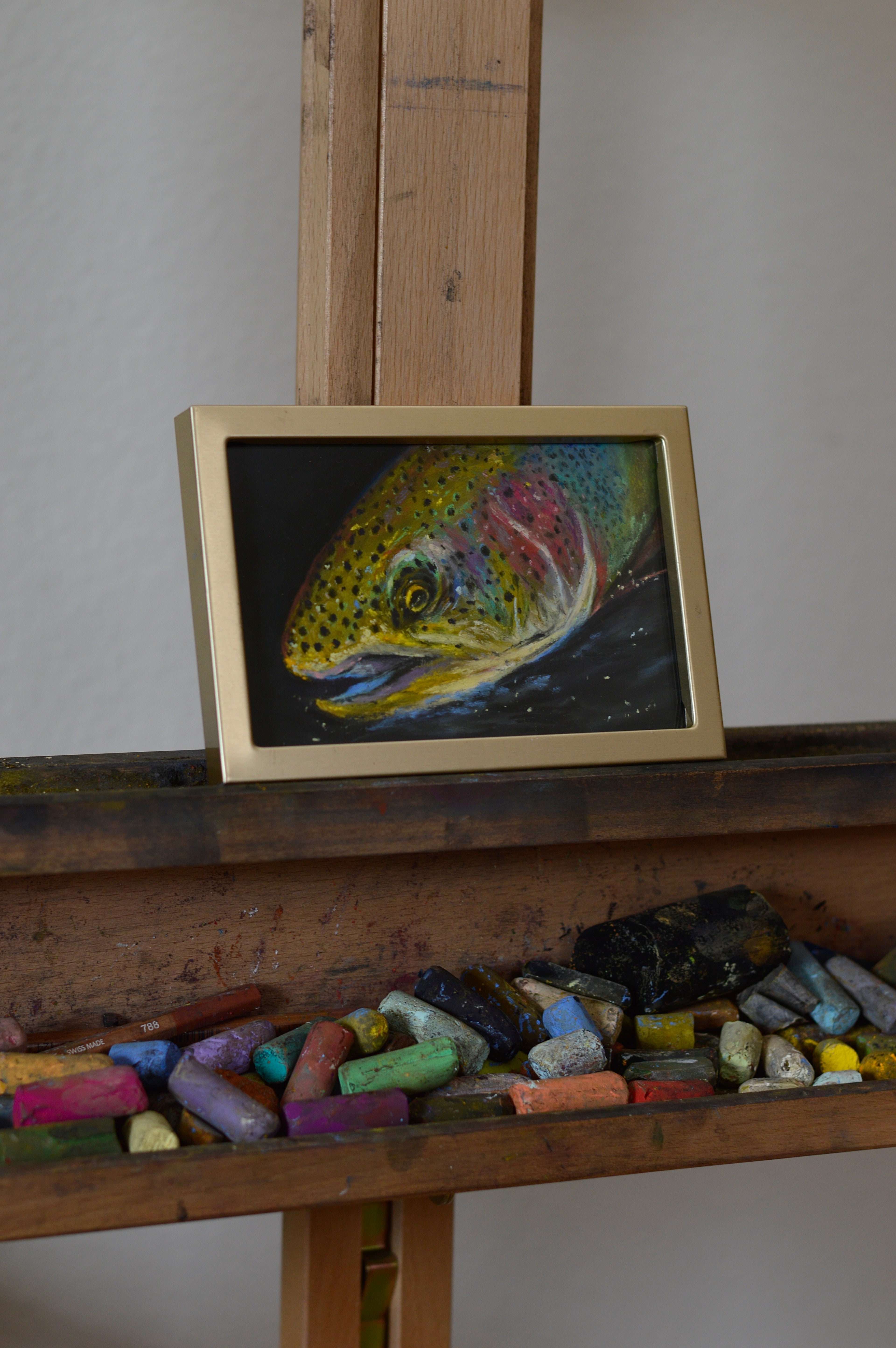 RAINBOW TROUT #1