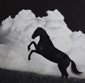 Print: "Dancing in the Clouds"