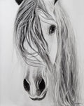 Print: "Eye to Eye"
