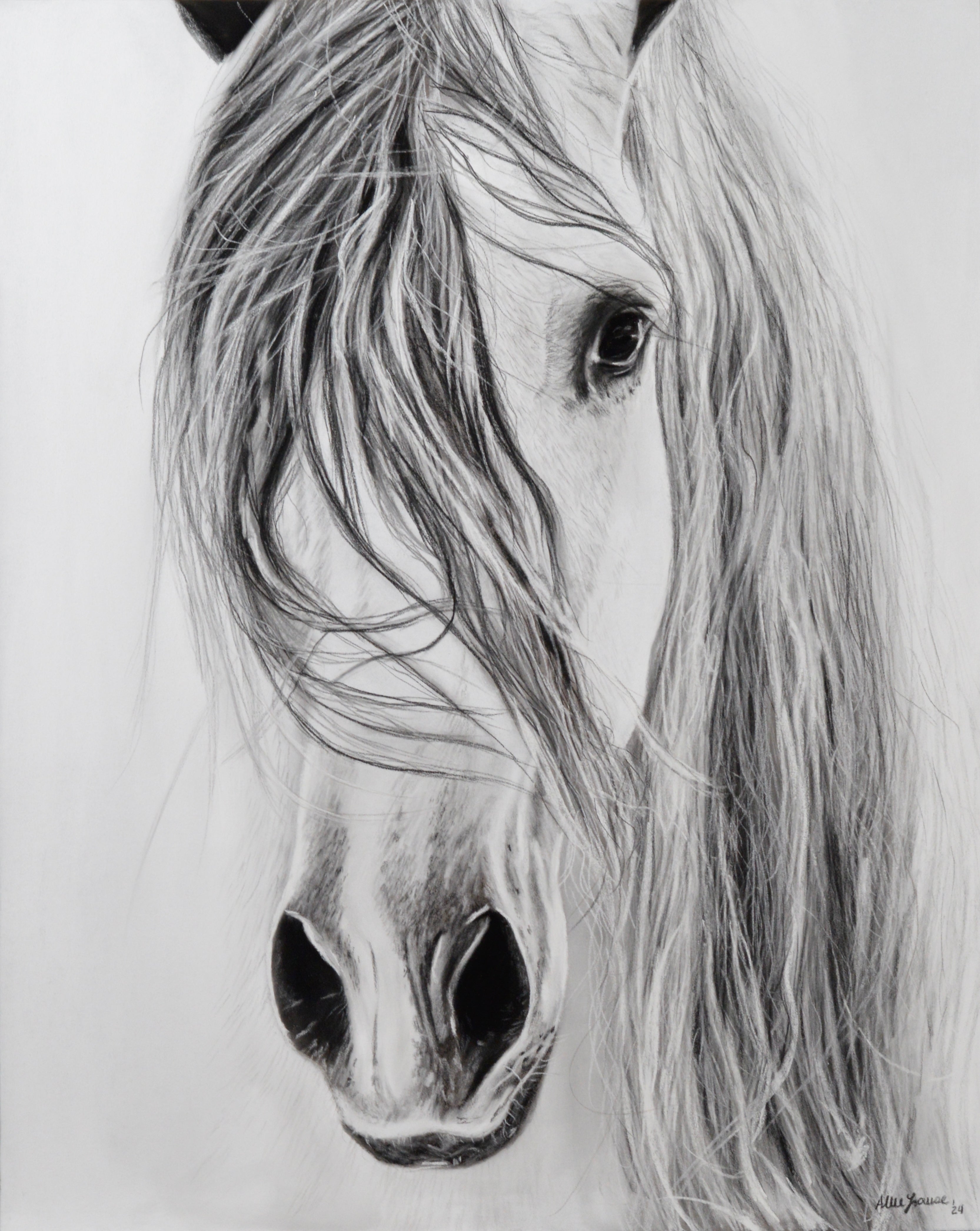 Print: "Eye to Eye"