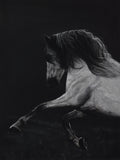 Print: "Ghost in the Night"