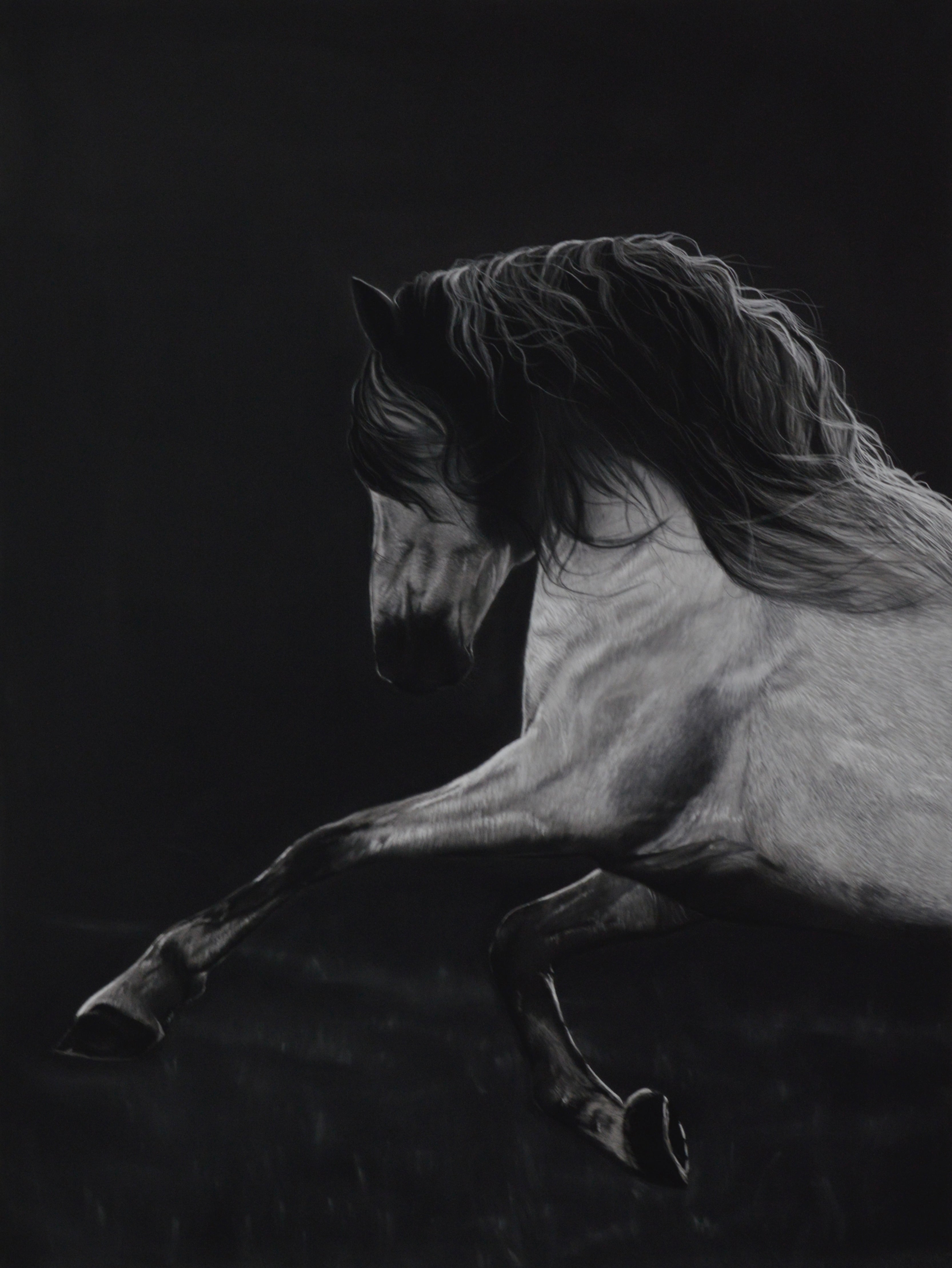 Print: "Ghost in the Night"