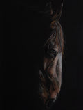 Print: "Through the Shadows"