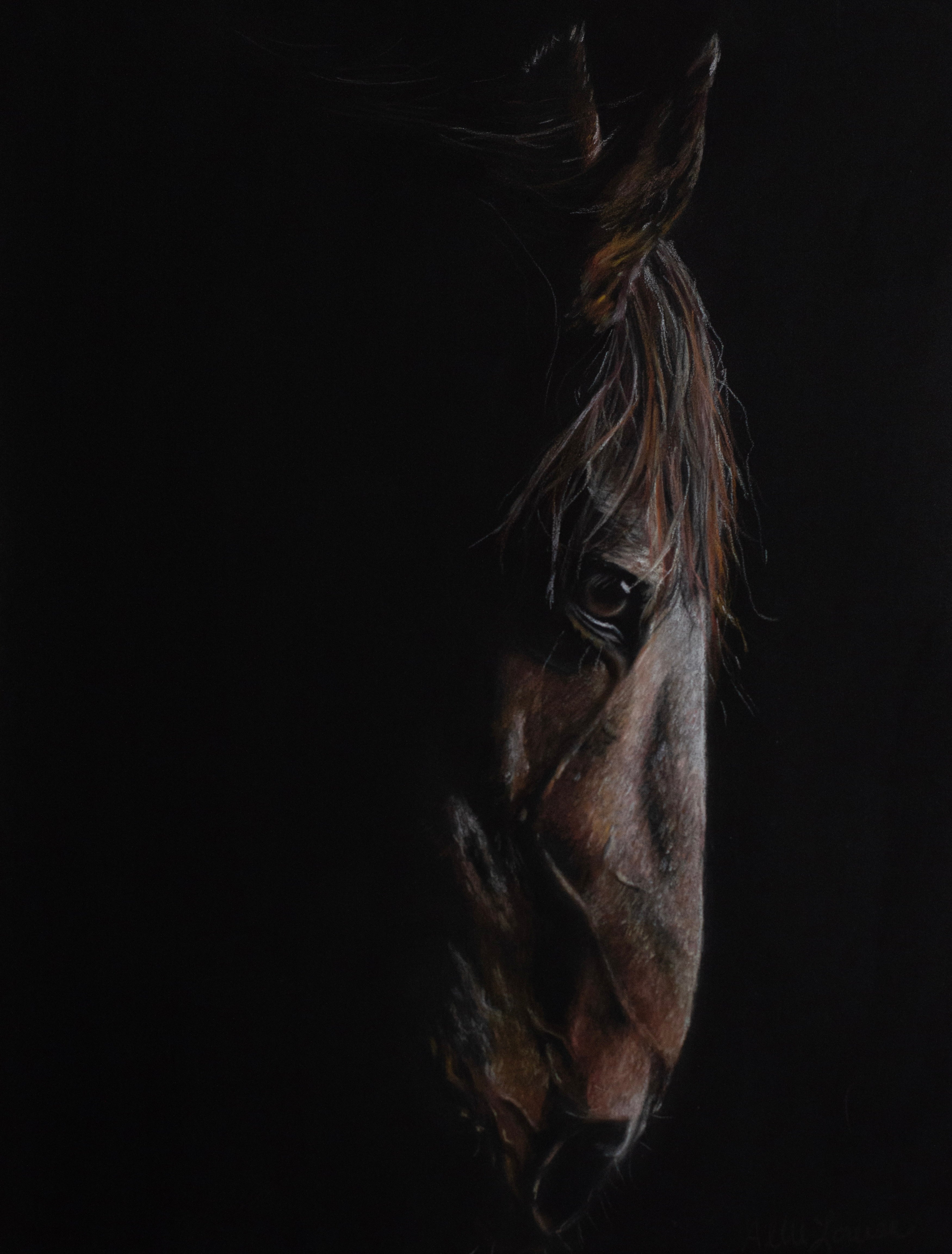 Print: "Through the Shadows"