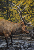 Print: "River Stroll"